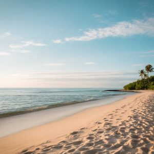 Découvrez les secrets des plages de Bora Bora et Tahiti