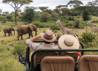 voyage de noces tanzanie : un safari romantique pour les amoureux de la faune