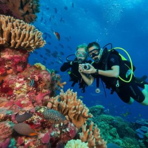 lune de miel : voyage plongée aux Seychelles, découvrez des récifs coralliens paradisiaques