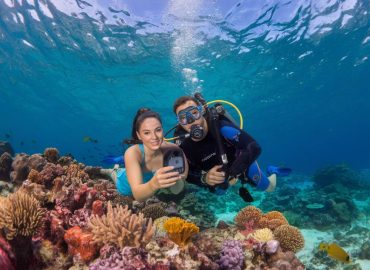 lune de miel : voyage plongée île Maurice, une expérience inoubliable dans l’océan Indien