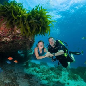 lune de miel : voyage plongée Costa Rica, aventurez-vous dans un monde sous-marin exceptionnel