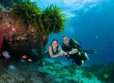 lune de miel : voyage plongée Costa Rica, aventurez-vous dans un monde sous-marin exceptionnel