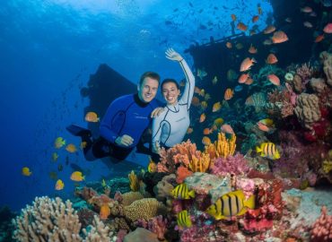 lune de miel : voyage plongée en Égypte, explorez les fonds marins de la mer Rouge